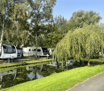 Stream and trees